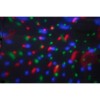Draaiende Mini RGBA LED lichteffect