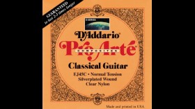 D'Addario Pro Arte EJ45C snarenset klassiek