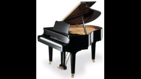 Yamaha G2 Vleugel