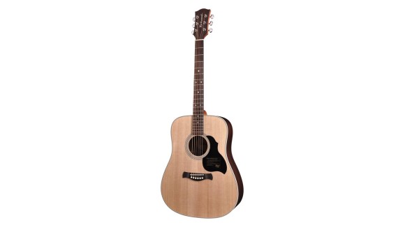 Richwood Master D-60 Western Gitaar