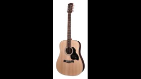 Richwood Master D-60 Western Gitaar