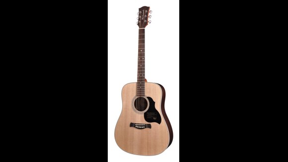 Richwood Master D-60 Western Gitaar